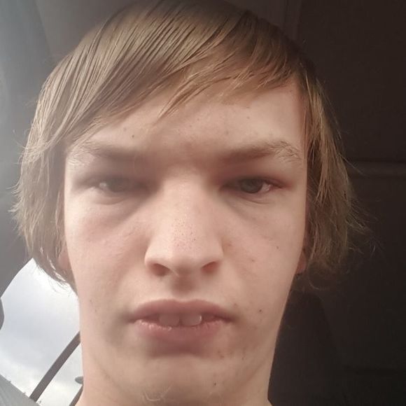 Meet your Posher, Daulton - Picture 1 of 1